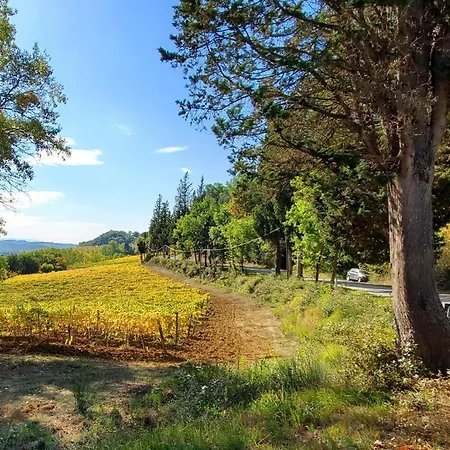 Bauernhof La Volpina Barberino di Val dʼElsa