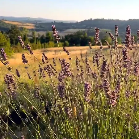La Volpina Bauernhof
