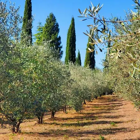 La Volpina Alloggio per agriturismo Barberino di Val dʼElsa