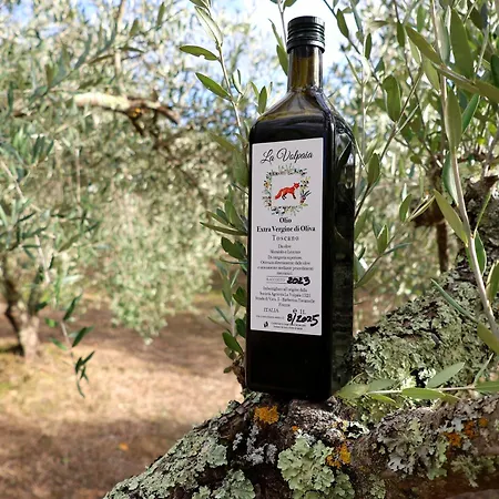 La Volpina Alloggio per agriturismo Barberino di Val dʼElsa