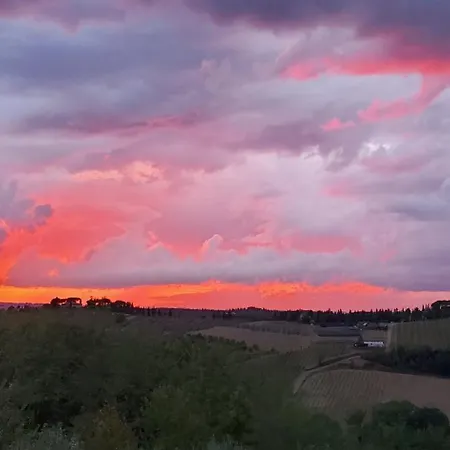 La Volpina Barberino di Val dʼElsa