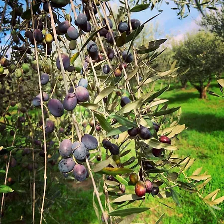 Alloggio per agriturismo La Volpina